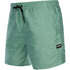 Mystic Mens Brand Swim Boardshorts - Sea Salt Green 210185