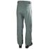 Pantalon De Ski/snowboard Isolé Légendaire Helly Hansen - Trooper 65704