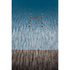 Nitro Team Snowboard 2023