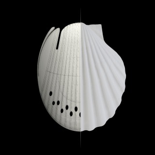 Coque Forward Pro Cool Cap Bump Shell - Dégradé Coucher De Soleil