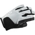 Gants Courts De Voile Gill Pour Femmes, Championnat 2026 - Gris 72543W