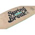 Ronix Spring Break Park Board 2026 - Bleu À Carreaux