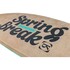 Ronix Spring Break Park Board 2026 - Bleu À Carreaux