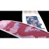 Wakeboard À Câble Hyperlite Aries Pour Femme 2027