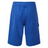 Gill Mylor Board Shorts - Bleu