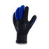 Gants De Combinaison Typhoon Dive 3Mm - Noir / Bleu
