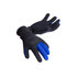 Gants De Combinaison Typhoon Dive 3Mm - Noir / Bleu