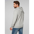 Helly Hansen Hh Logo Hoodie - Gris Mélange